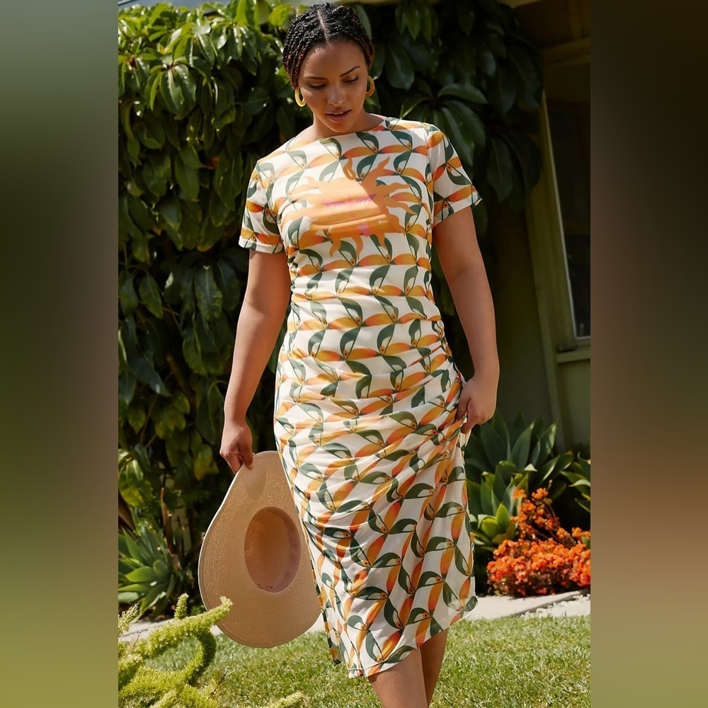 Farm Rio Printed Mesh Dress